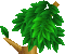 XƗR