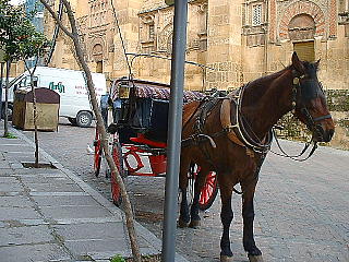 馬車