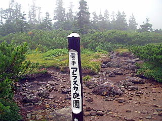 _muAXJ뉀v