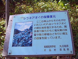 VlAIČQn