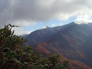向うに冠雪している焼山が見えた