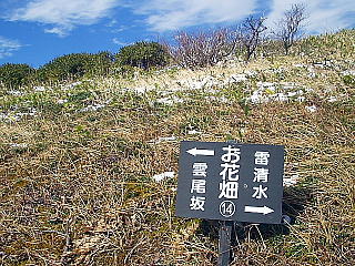 Ԕ