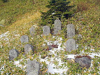 oRe