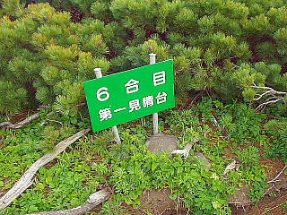 6ڑꌩ