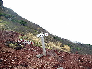 B`R[Xւ̕