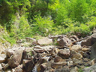 天鳥川源頭