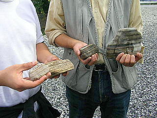 ǒՐ